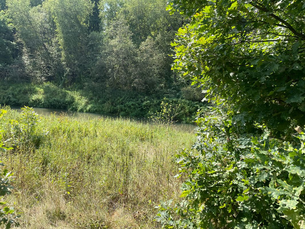 Снт Утро Территория, 185, Муниципальный Район Щелковский до Снт Утро Территория, 182, Муниципальный Район Щелковский