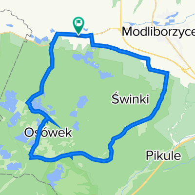 Brzeziny, Brzeziny do Brzeziny, Brzeziny