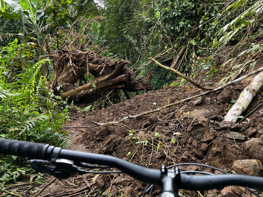 Ascenso de la serpiente a Basilé Bubi y Rebola