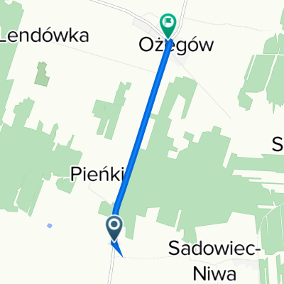 W贸jtostwo 1, Dzia艂oszyn do Szkolna 2, O偶eg贸w