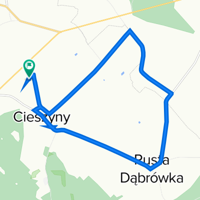 Cieszyny 79, Wrocki do Cieszyny 79, Wrocki