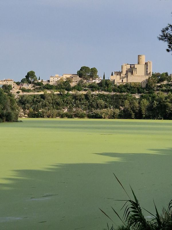 El Vendrell _ Panano de foix _El Vendrell