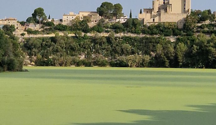 Zdjęcie 2 trasy Bikemap „El Vendrell _ Panano de foix _El Vendrell”
