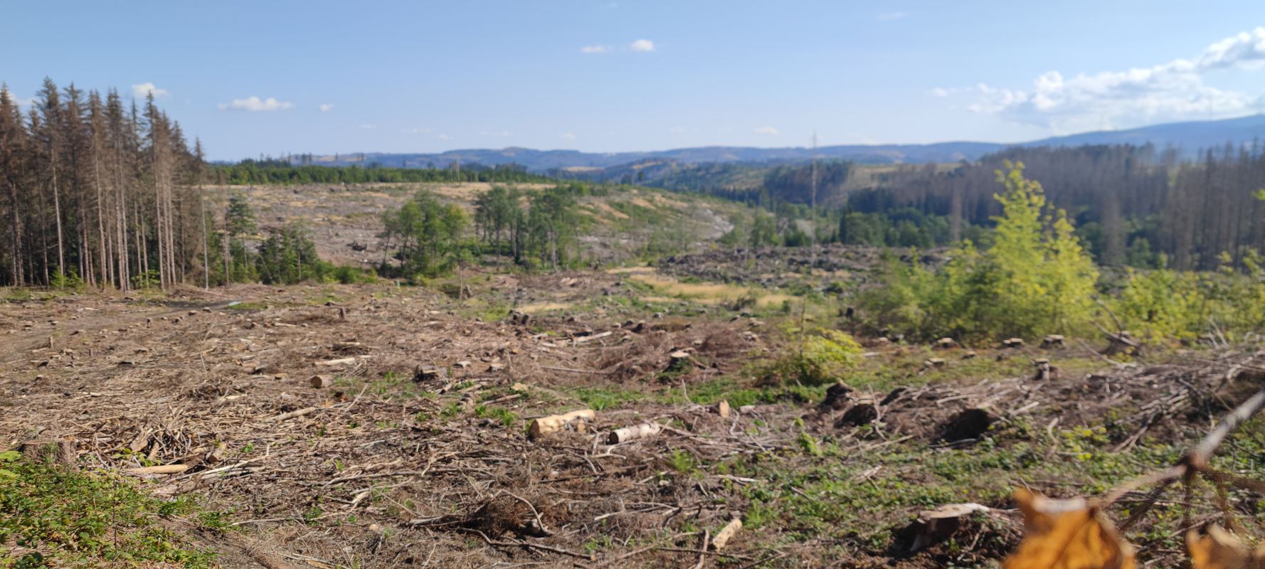 Altenau nach Stettiner Straße 12, Altenau