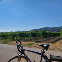 Baden nach Laxenburg, zurück über Mödling