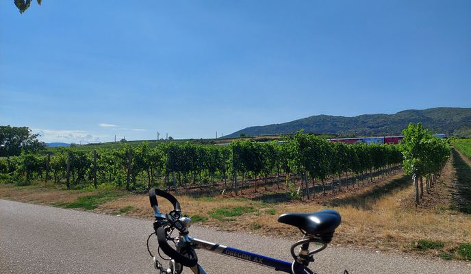 Foto 1 der Bikemap-Route "Baden nach Laxenburg, zurück über Mödling" Foto 1 der Bikemap-Route "Baden nach Laxenburg, zurück über Mödling"