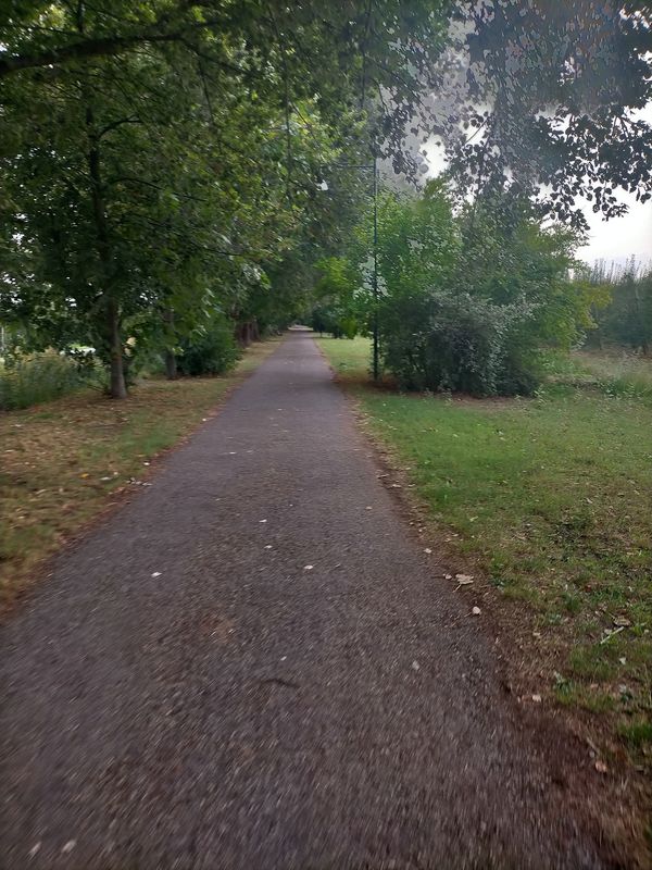 Da Via Pietro Nenni 40, Alfonsine a Via Canale Sinistra Inferiore 21, Bagnacavallo