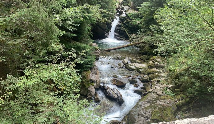 Photo 1 of the Bikemap route "Poiana Mărului -Cascada Șucu" Photo 1 of the Bikemap route "Poiana Mărului -Cascada Șucu"