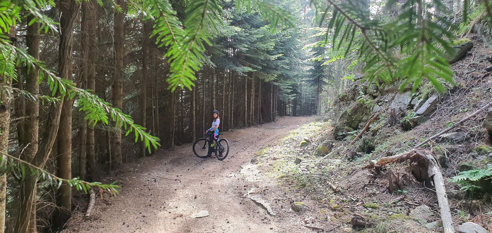 Пat bez ime, Lilyanovo to Пat bez ime, Lilyanovo