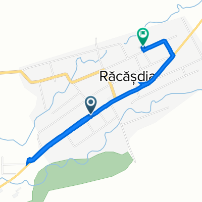 DN57, Racasdia to Racasdia
