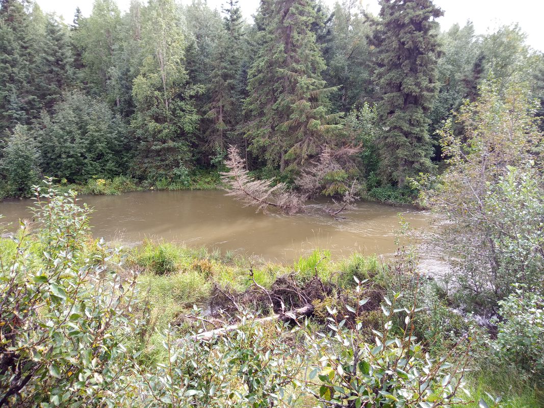 Riverstone Way 502, Anchorage to Fairweather Park Loop 7133, Anchorage