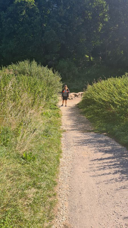 Bachweg 9, Bad Dürrheim nach Bachweg 12, Bad Dürrheim