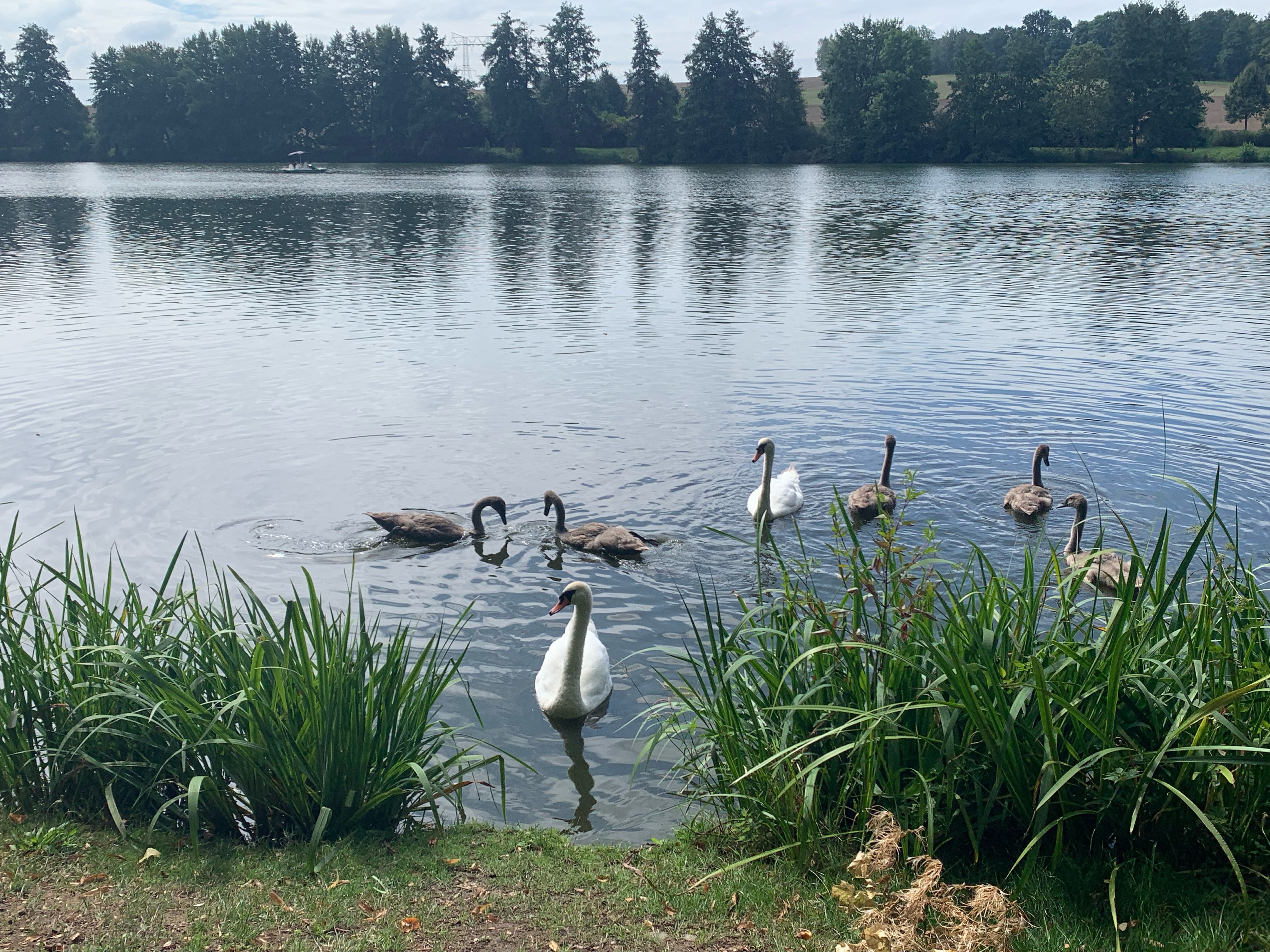 K 301, Langenleuba-Niederhain nach Gartenstraße 14C, Langenleuba-Niederhain