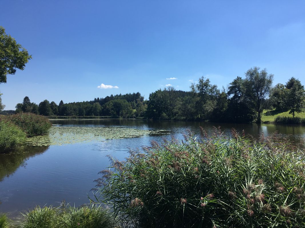 Geiselharz Haslach Bodnegg Amtzell