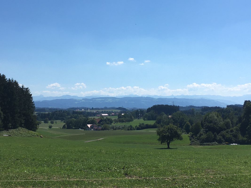 Geiselharz Haslach Bodnegg Amtzell