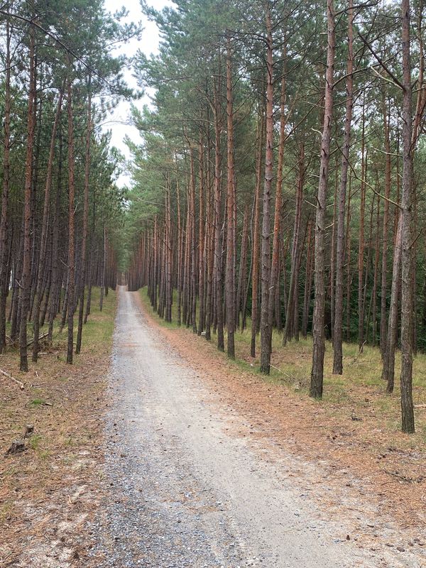 Kąty - Krynica Morska - Kąty