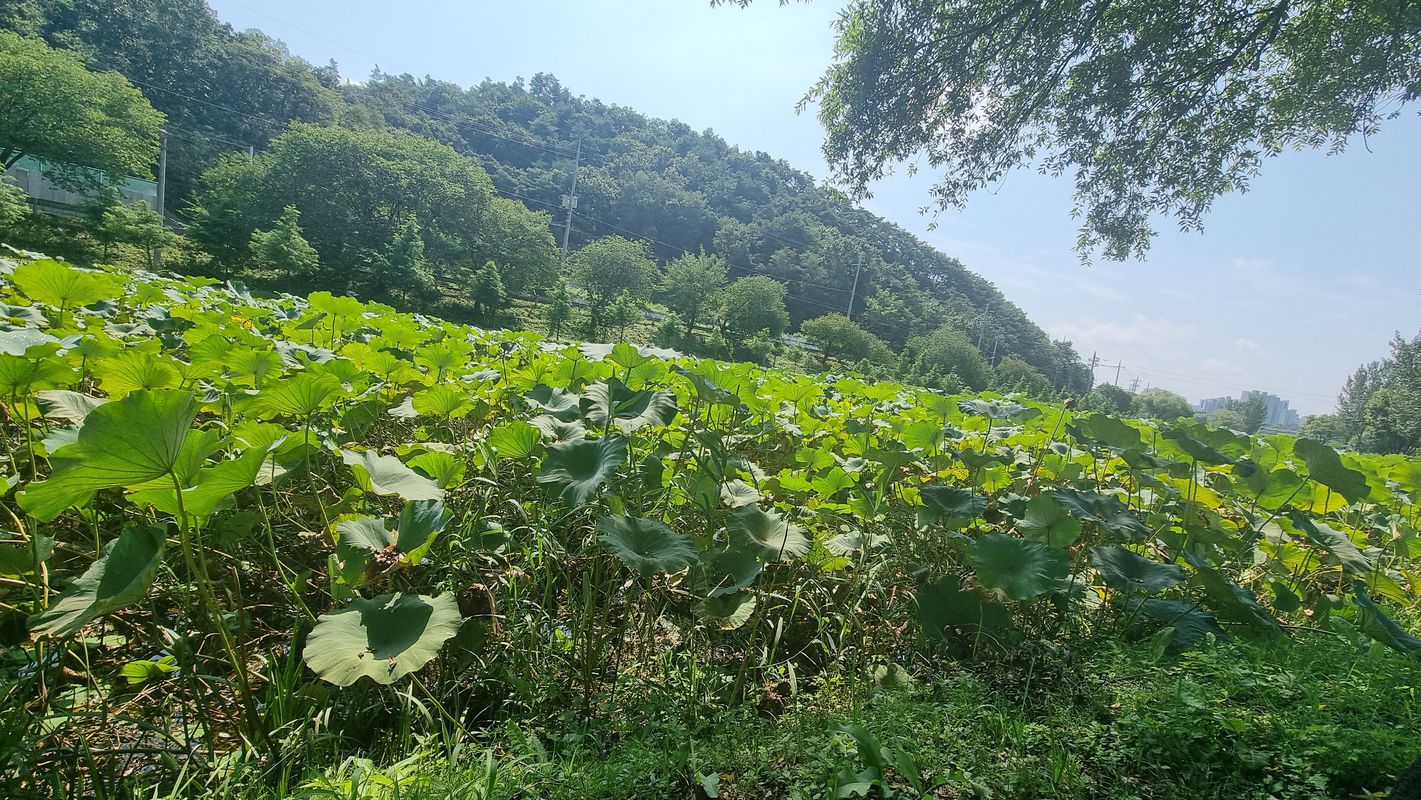 Ongnyong-dong 97, Gongju to Ongnyong-dong 104-21, Gongju