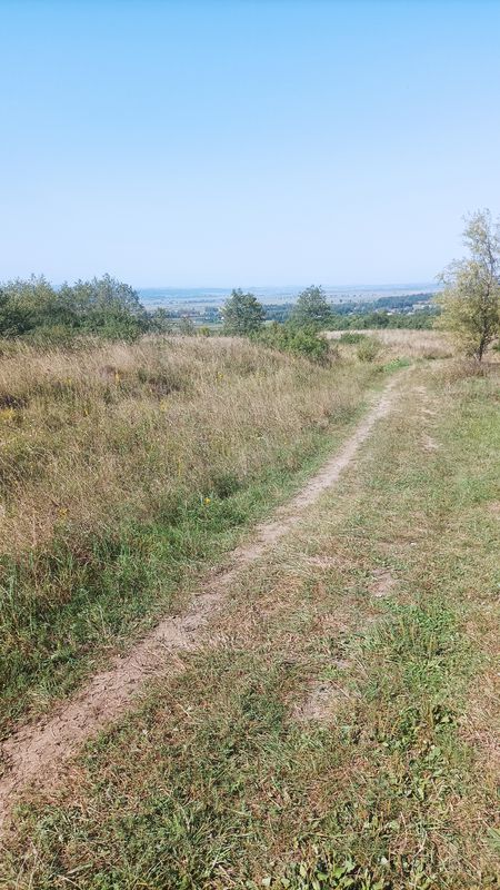 Jana Pawła II 58A, Sanok do Langiewicza 3, Sanok