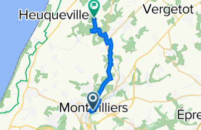 Route in der Bikemap App öffnen