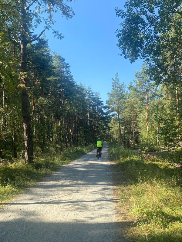 Krynica - Piaski granica - Krynica