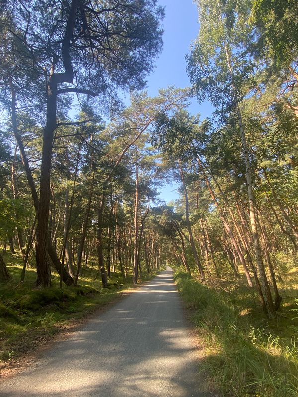 Krynica - Piaski granica - Krynica