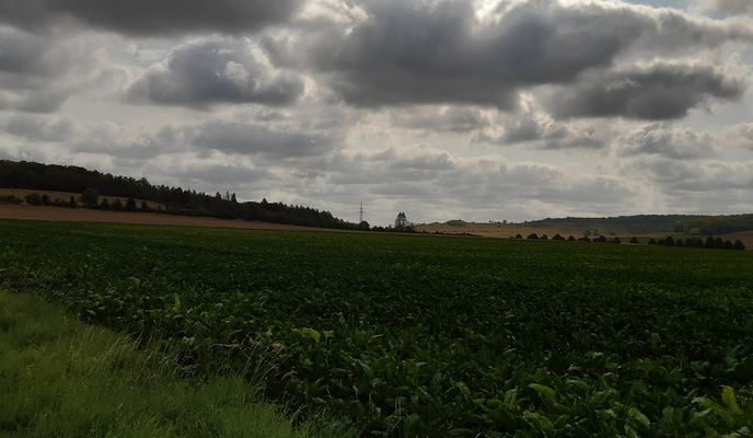 Photo 2 of the Bikemap route "Hi -Emmerke (Müsliroute)"