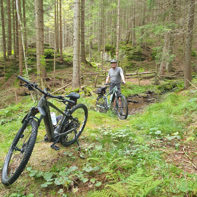 Wald ob Stainz Rath nach Wald ob Stainz Rath