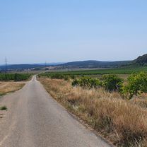 Foto 7 der Bikemap-Route "Balaton-felvidéki nyári bringatúra 2022" Foto 7 der Bikemap-Route "Balaton-felvidéki nyári bringatúra 2022"