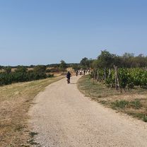 Foto 8 der Bikemap-Route "Balaton-felvidéki nyári bringatúra 2022" Foto 8 der Bikemap-Route "Balaton-felvidéki nyári bringatúra 2022"