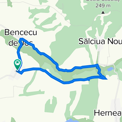 Bencecu de Sus Bencecu de Jos Salciua Cruce Ferma Bencecu de Sus