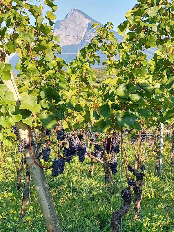 St. Luziasteig