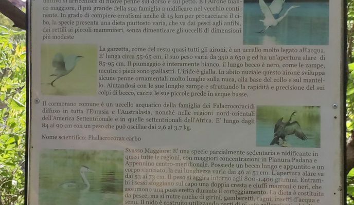 Foto 2 der Bikemap-Route "Da gra a ponte Milvio e ritorno dal centro di Roma - Da gra a ponte Milvio e ritorno dal centro di Roma"