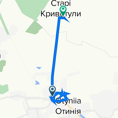 Route from Н10 40, Отинія