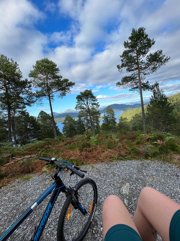 Evening ride