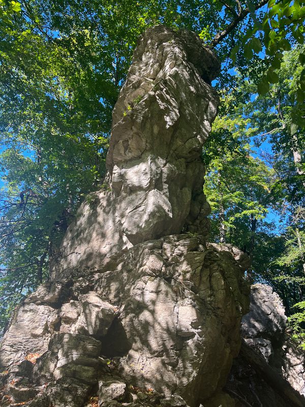 Prievaly - Šenkvice
