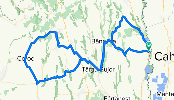 oancea