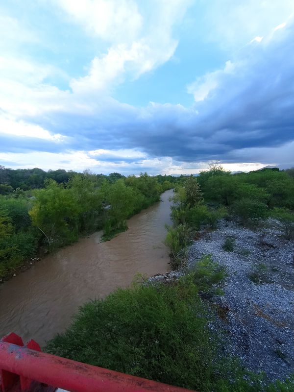 De Chiapas 2216, Linares a Chiapas 2216, Linares