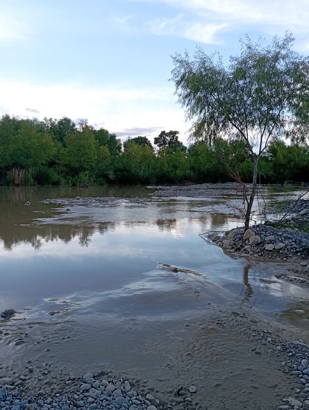 De Chiapas 2216, Linares a Chiapas 2216, Linares