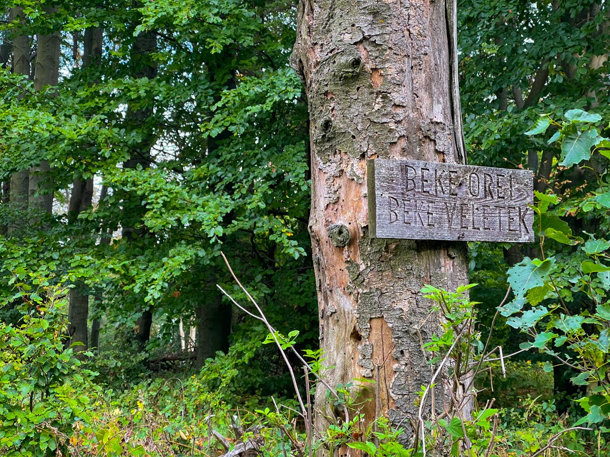 Destacado 9 en la ruta de Bikemap "Pamätník leteckého nešťastia Hejce ▲"