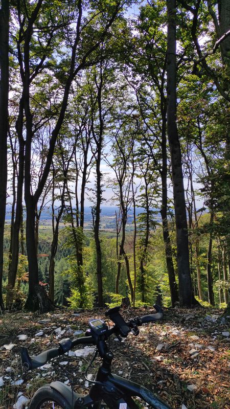 Bad Rohtenfelde zum Luisenrurm Rundtour