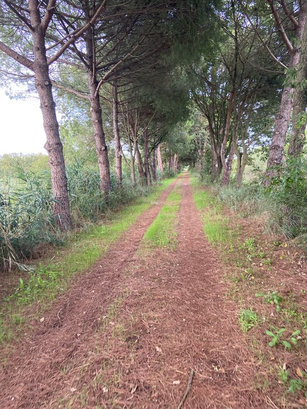 Viale Italia 68A, Ravenna a Viale Italia 70, Ravenna