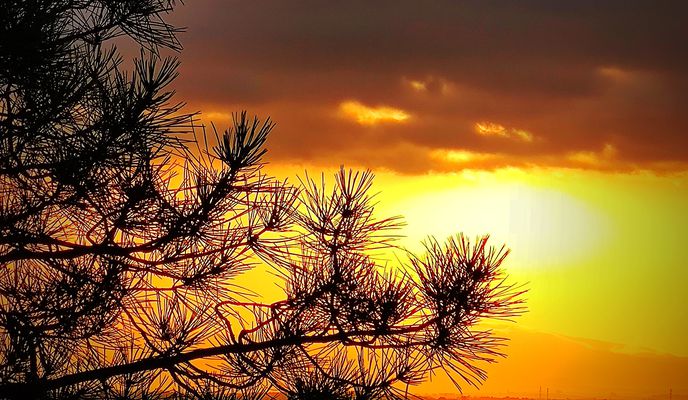 Zdjęcie 1 trasy Bikemap „Ruta Santuario de Argimón”