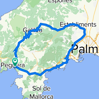 Paguera Galilea Establiments Portals-Nous Paguera