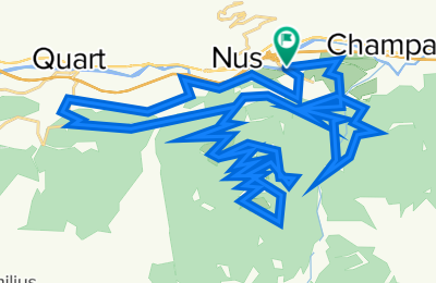 Route in der Bikemap App öffnen