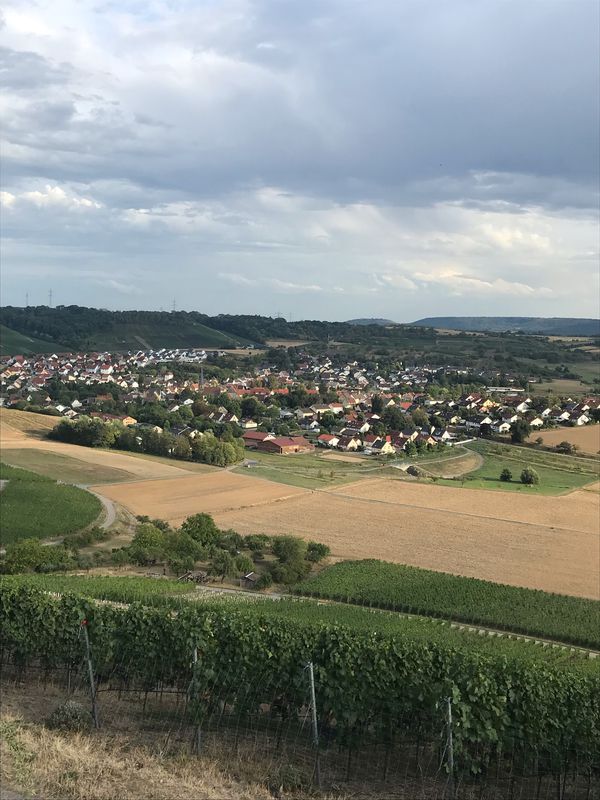 Niederhofen Friedhof - Eppingen - Bretten - Ruit - Maulbronn - Sternenfels - Leinburg - Niederhofen Friedhof