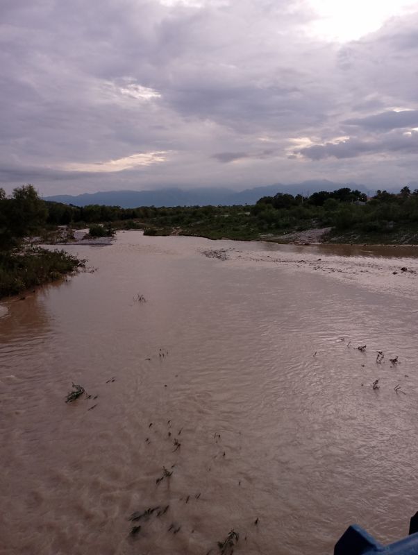 De Ciruelo 120, Linares a Chiapas 2216, Linares