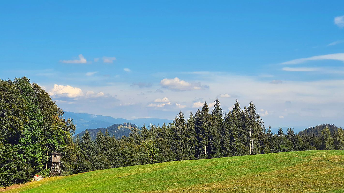 Mohor MTB trasa