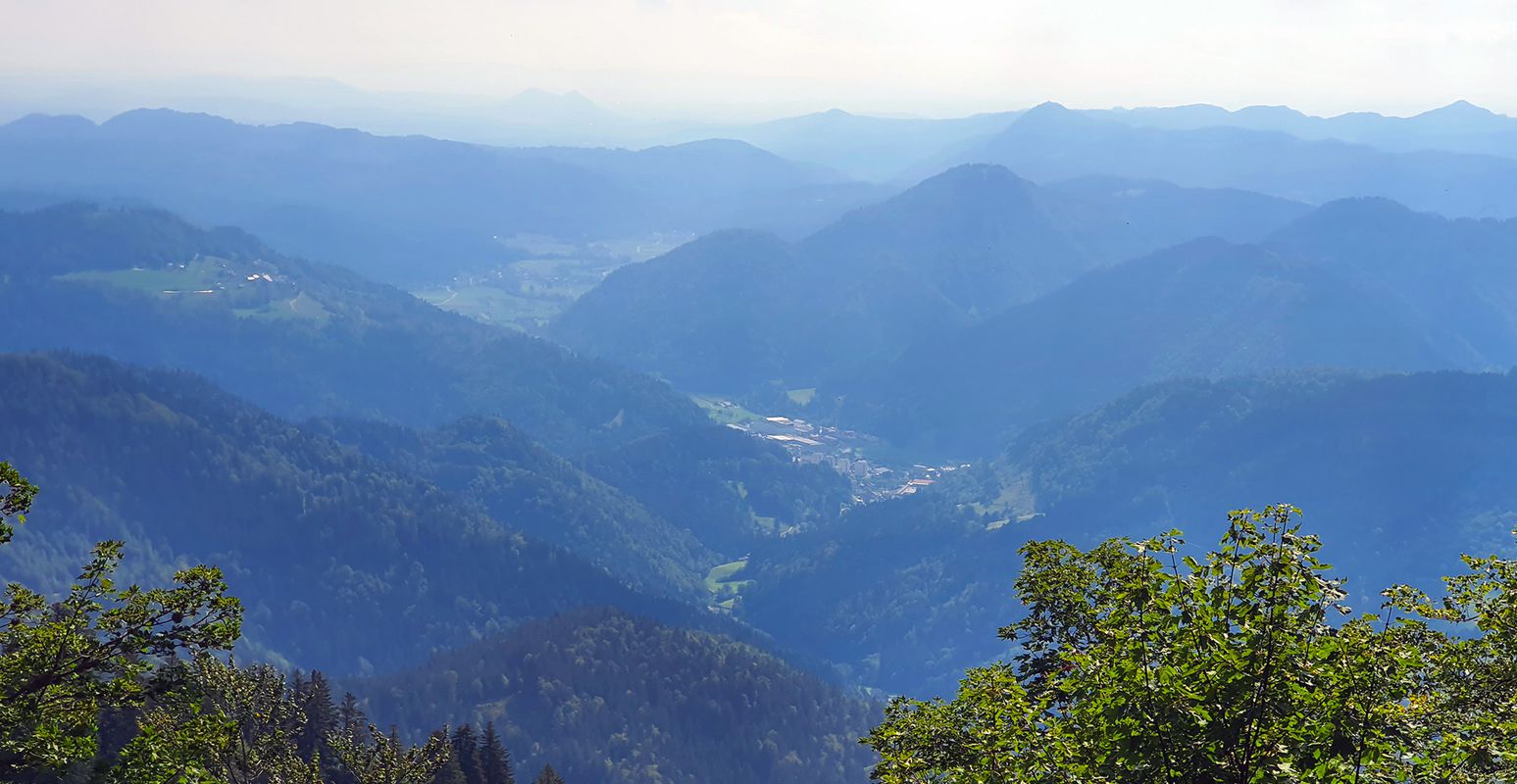 Jelovica MTB