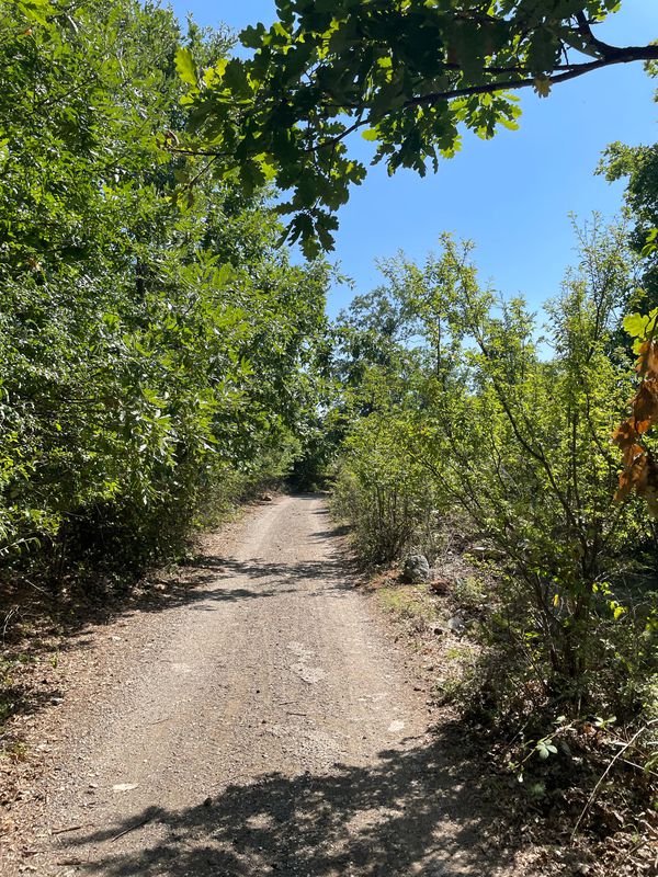 R1203, Teartse to Djepchishte, Tetovo
