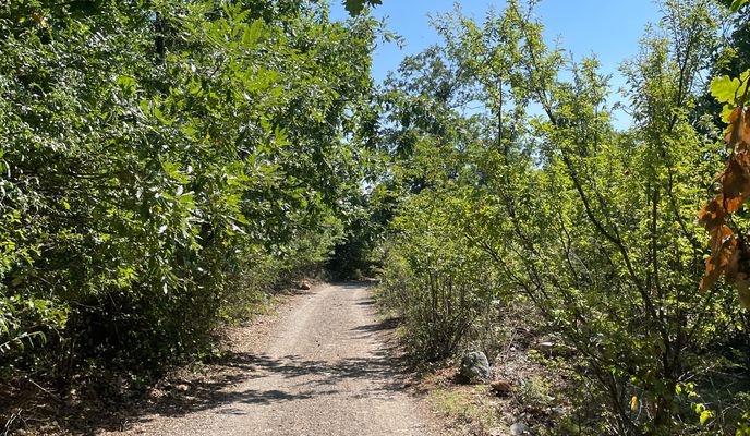 Photo 1 de l’itinéraire Bikemap « R1203, Teartse to Djepchishte, Tetovo »